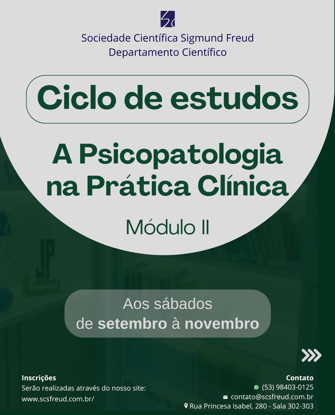 A Psicopatologia na Prática Clínica -  Módulo II